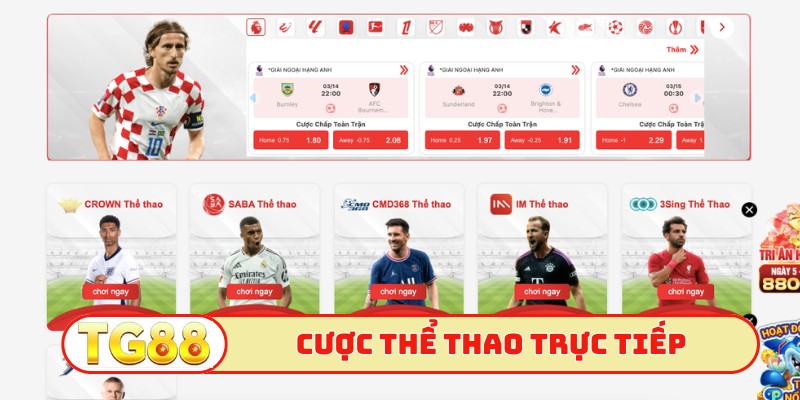 Cược thể thao trực tiếp